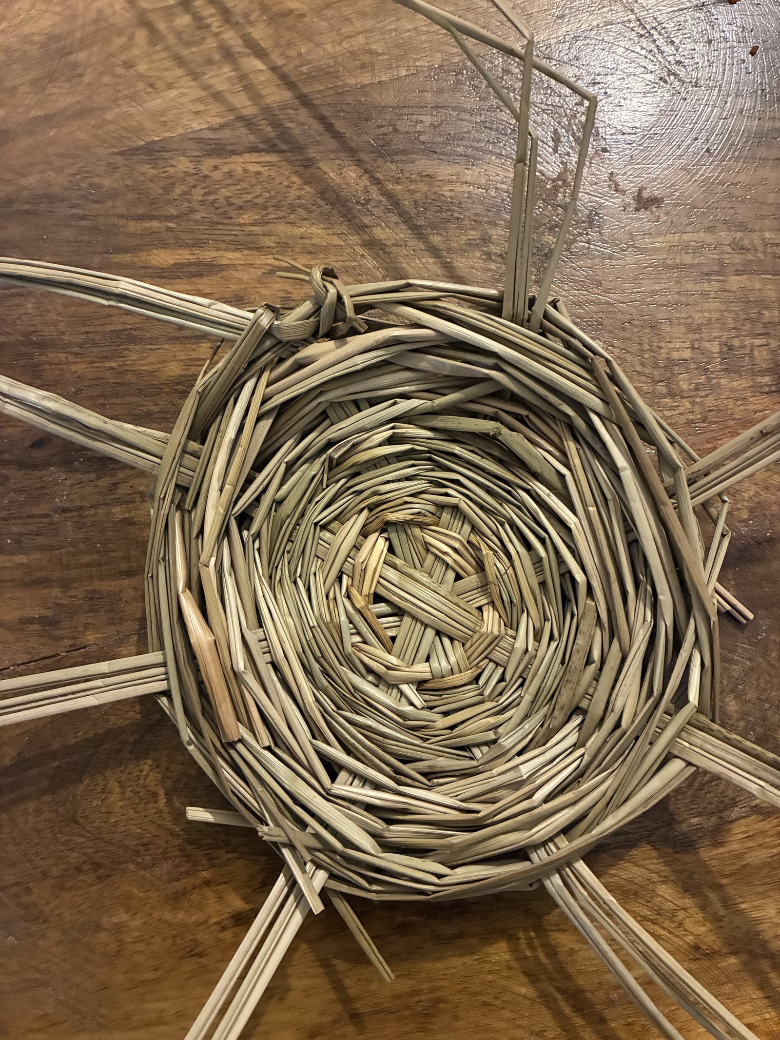 Tactile woven architectural vessel handcrafted from water hyacinth and selvage